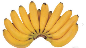 banana530-300